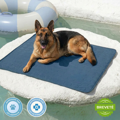 ArcticPaw - Cool pour les chiens aventuriers