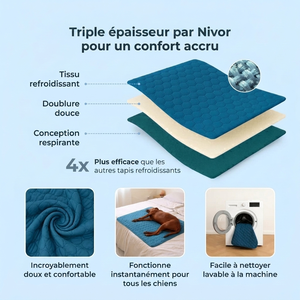 ArcticPaw - Cool pour les chiens aventuriers