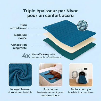 ArcticPaw - Cool pour les chiens aventuriers
