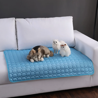 ArcticPaw - Cool pour les chiens aventuriers