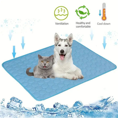 ArcticPaw - Cool pour les chiens aventuriers