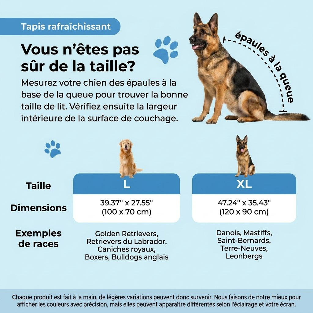 ArcticPaw - Cool pour les chiens aventuriers