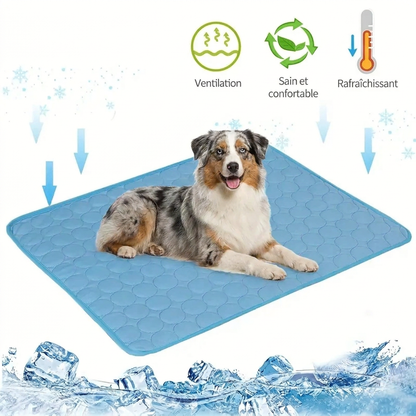 Chien couché sur le tapis rafraîchissant NyvaCool — ventilation et fraîcheur