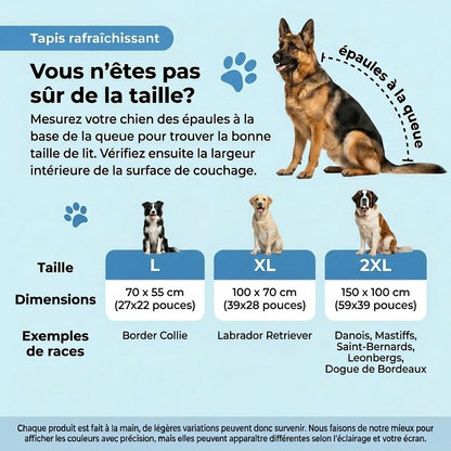 Guide des tailles du tapis rafraîchissant NyvaCool selon la race et la grandeur du chien